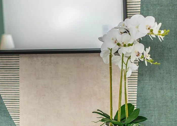 Appartamento Le Jungle, Moderne Et Cozy!